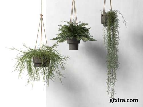 Cgtrader - Hanging Pots with Plants 3D model