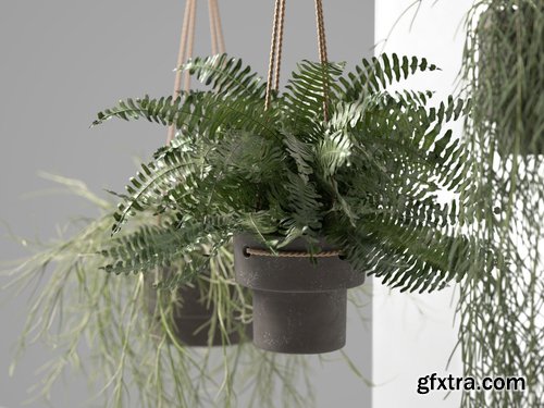 Cgtrader - Hanging Pots with Plants 3D model