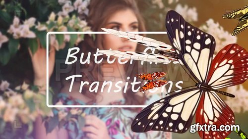 Butterflies Transitions 227558