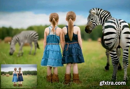 Summerana - Dancing Stripes Zebra: Editing Video