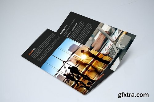 Trifold Brochure