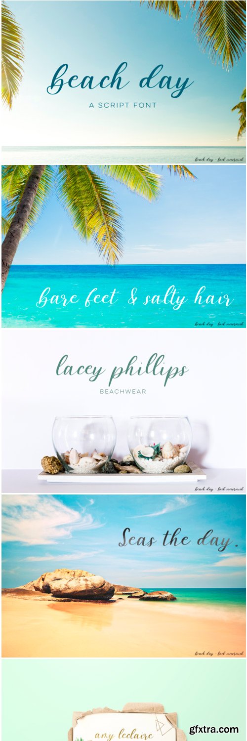 Beach Day Script Font