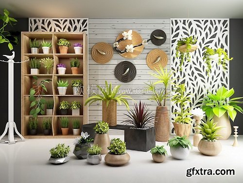 Plants Collection 23 3d Models