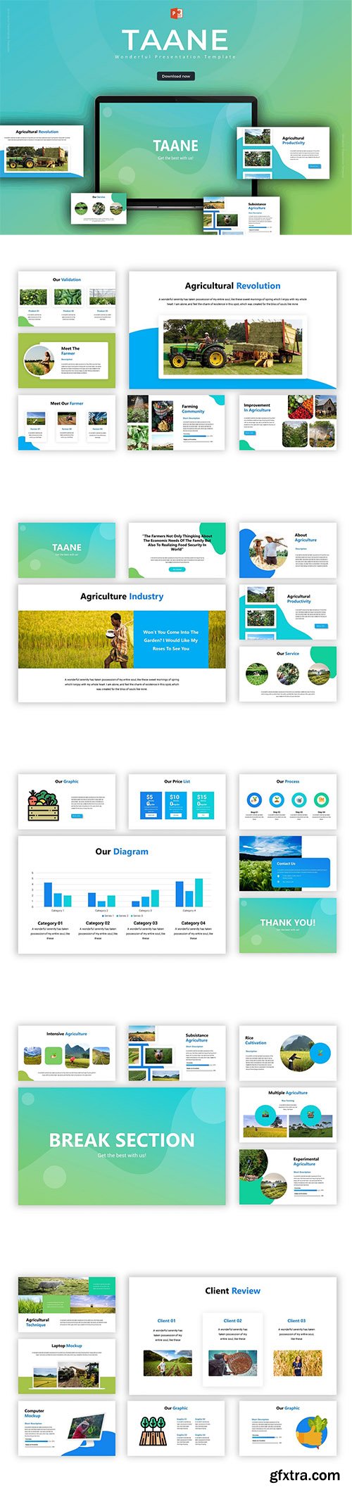 Taane - Powerpoint Template