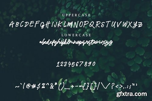 CM - Meadowlark Script Font 2403784