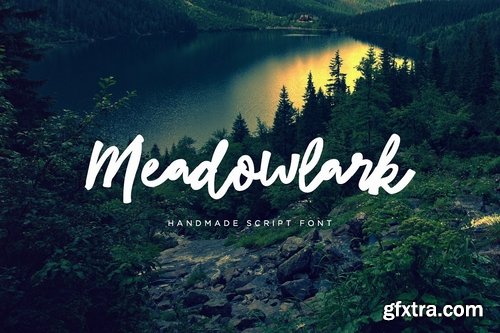 CM - Meadowlark Script Font 2403784