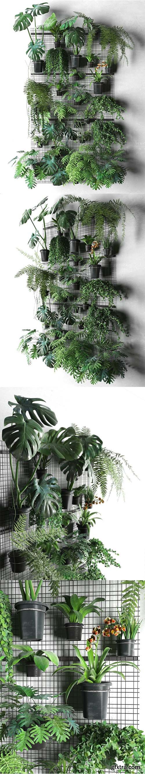 Cgtrader - Wall Grid with Pot Plants 3D model