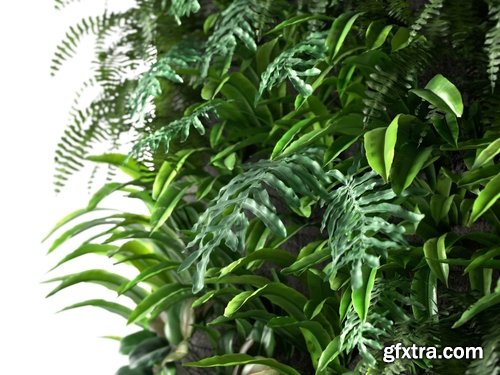 Cgtrader - Vertical Garden 1 3D model