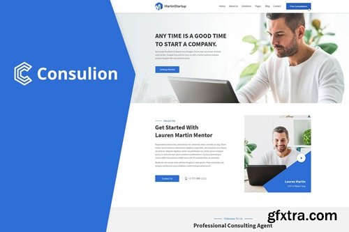 Consulion - Professional and Consulting Business