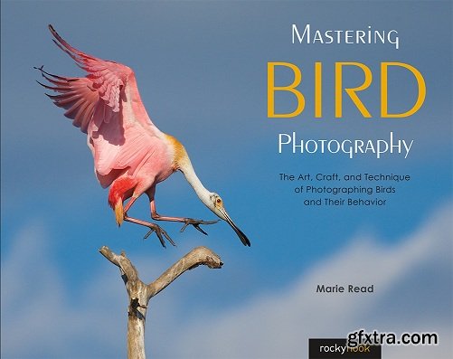 Mastering Bird Photography: The Art, Craft, and Technique of Photographing Birds and Their Behavior