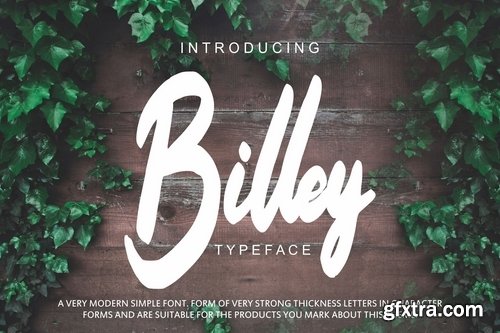 Billey - Handwritten Script