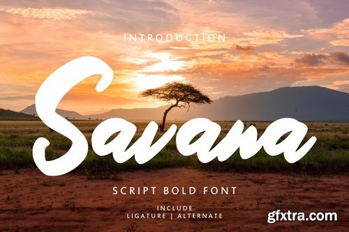 Savana - Script Bold Font