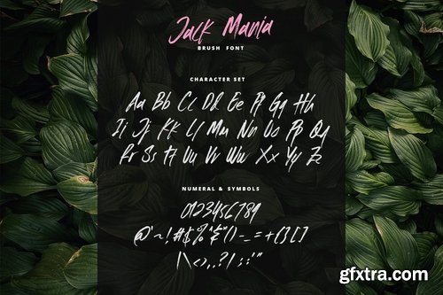 CM - The JACK MANIA Brush Font 3900175