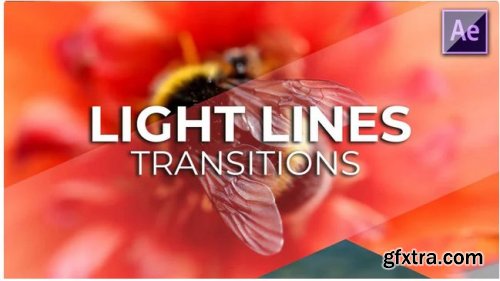 Light Lines Transitions - After Effects 237629