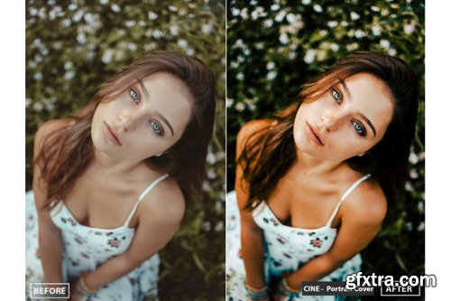 Cinematic Lightroom Presets Collection