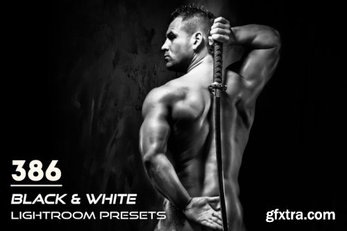 CreativeMarket - 386 Black & White Lightroom Presets 3817477