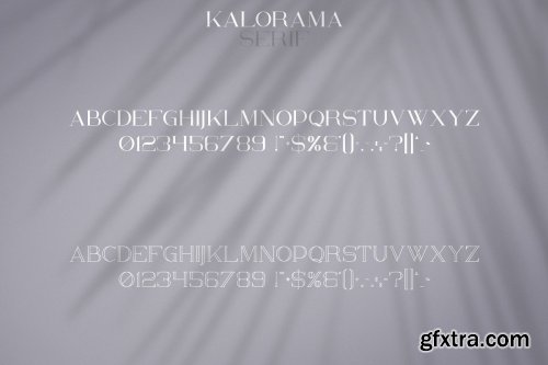 CreativeMarket - Kalorama - Font duo 3846102