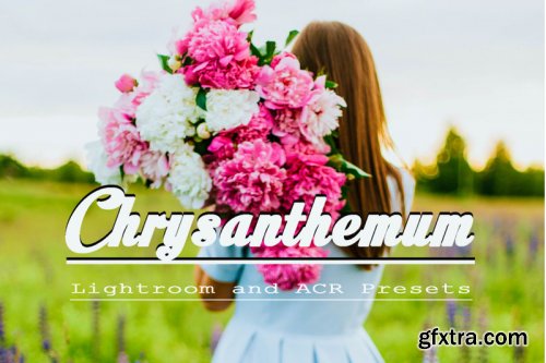 Chrysanthemum Lightroom and ACR Presets