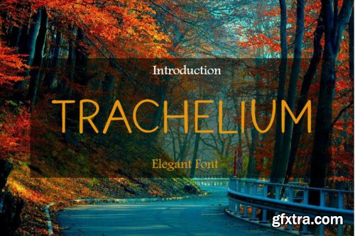 Trachelium Font