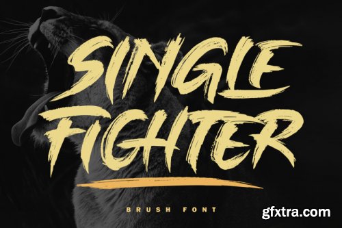 Single Fighter