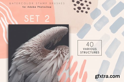 CreativeMarket - Clarity - Modern Photoshop Brushes 3687175