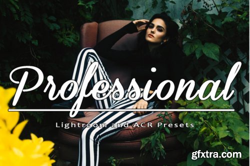 Professional Lightroom and ACR Presets