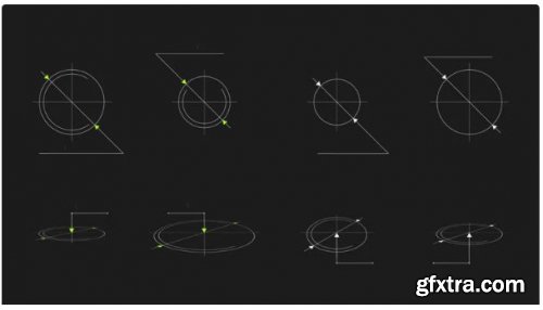 Infographics And Sizes - After Effects 251171