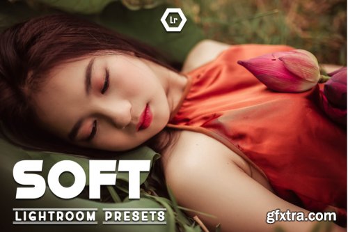 Soft Lightroom Preset Vol.4