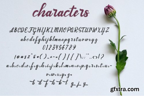 Andhewi Script Font