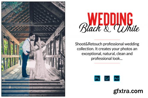 600+ Wedding Collection LR//PS//ACR