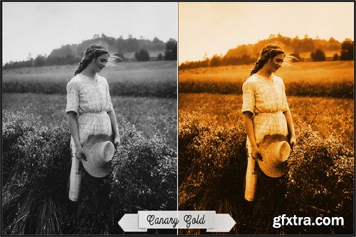 CreativeMarket - Historical Toning V Profiles LR ACR 3888060