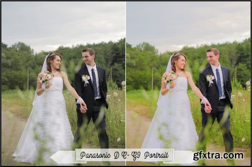 CreativeMarket - Panasonic Photo Style Inspired profiles LR ACR 3883999