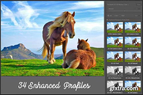 CreativeMarket - Panasonic Photo Style Inspired profiles LR ACR 3883999