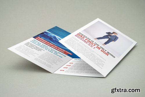 Trifold Corporate Brochure