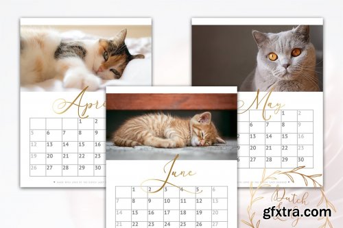 CreativeMarket - Printable Monthly Calendar 2020 Cats 3896026