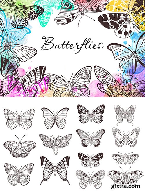 Butterflies Set