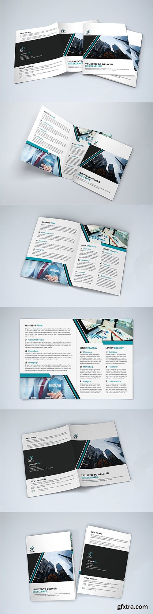 Bifold Business Brochure