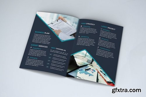 Bifold Brochure