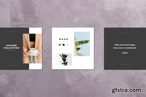 Noctua PowerPoint Instagram Pack