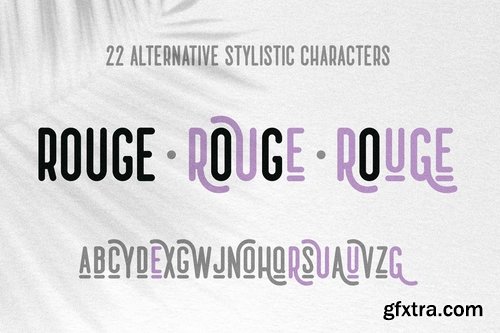 CM - 3 Fonts Mango Tango Collection 3900501