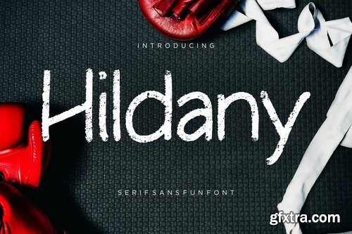 Hildany Sans Fun Font