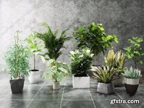 Plants Collection 29 3d Models