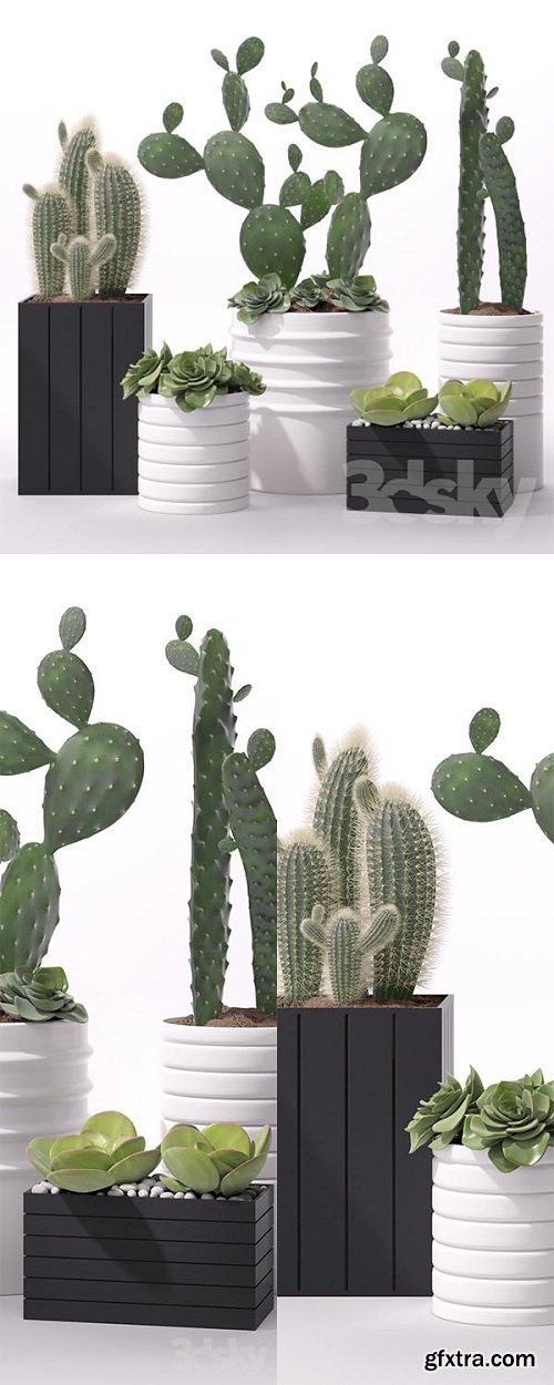 Contemporary Houseplants 2 3d Models