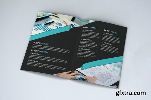 Bifold Brochure