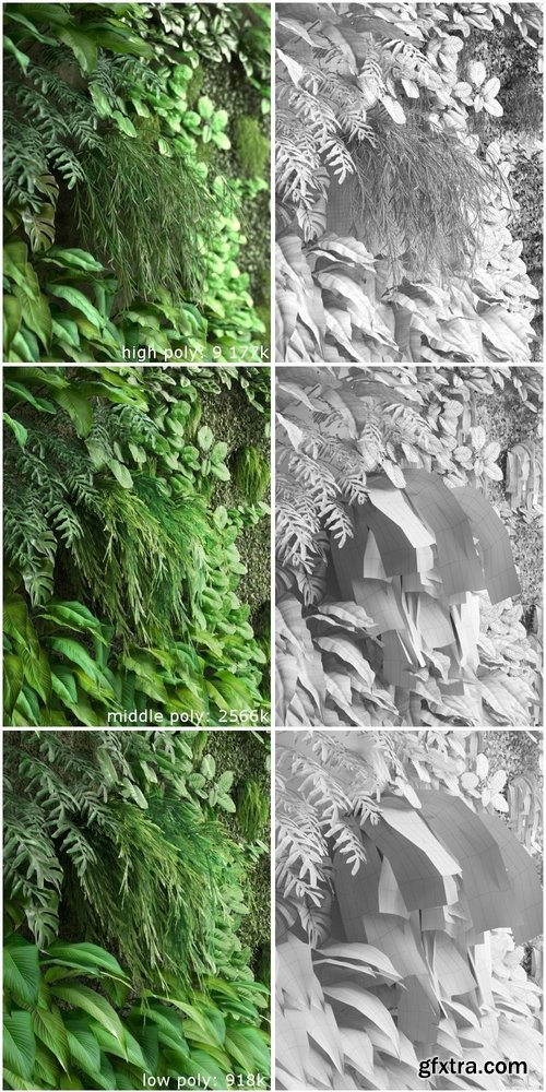 Cgtrader - Vertical Garden 2 3D model