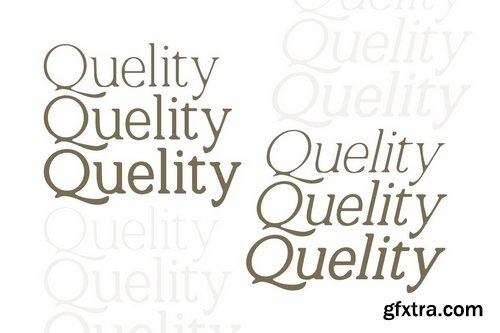 CM - Quelity - Crooked Serif Font 3703370