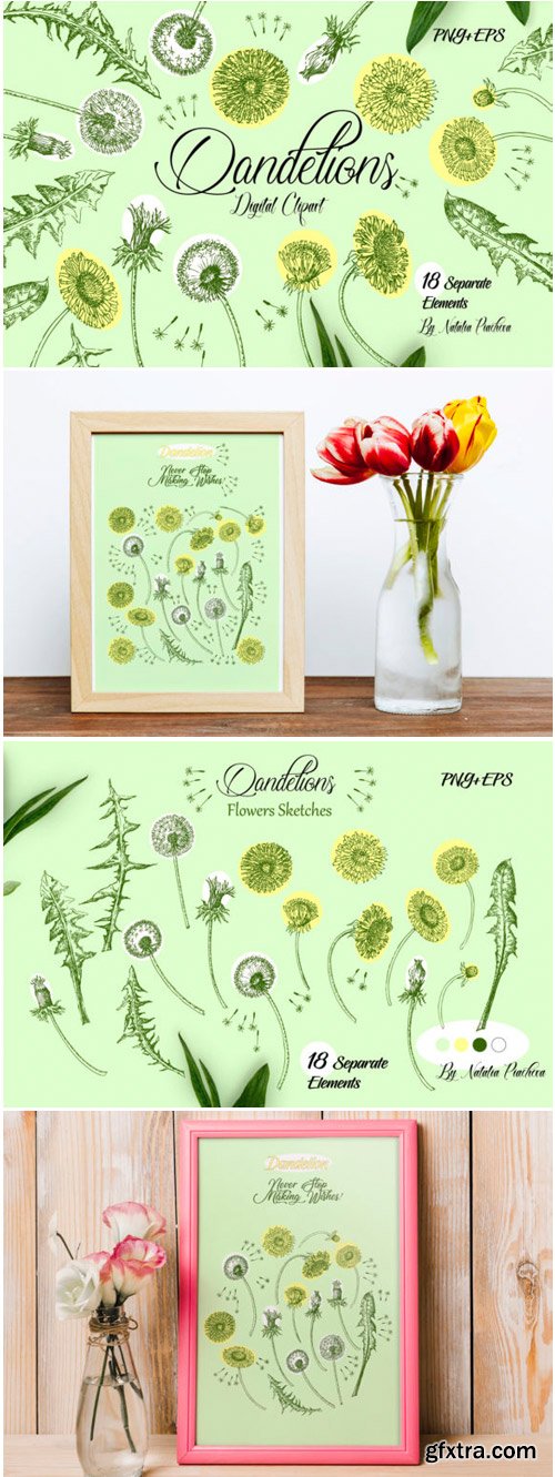 Dandelions Digital Clipart 1562662