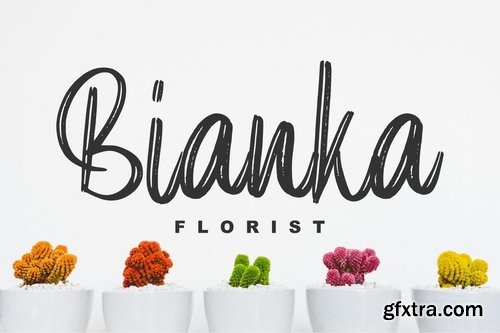 Elpanas - Beuty Brush Script