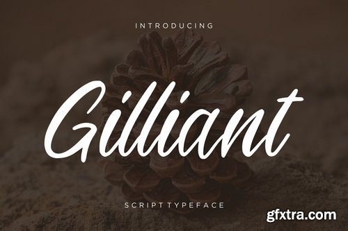 Gilliant Script Typeface