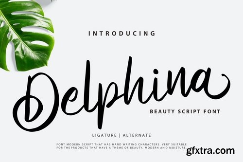 Delphina  Beauty Script Font